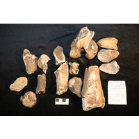 Component 2 (view 7)