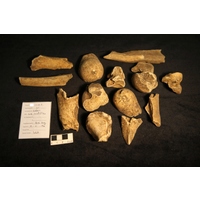 Component 2 (view 2)