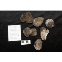 Component 2 (view 4)