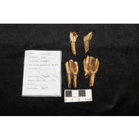 Component 3 (view 2)