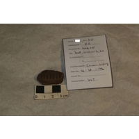 Component 3 (view 3)