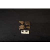 Component 1 (view 2)