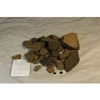 Component 1 (view 2)