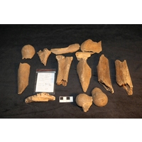 Component 1 (view 2)