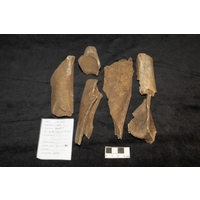 Component 2 (view 2)