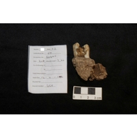 Component 2 (view 3)