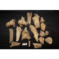 Component 3 (view 2)