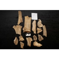 Component 2 (view 2)