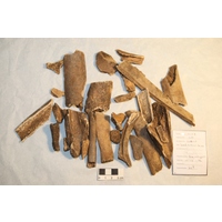 Component 1 (view 2)