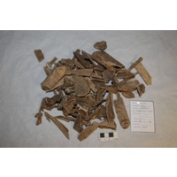 Component 1 (view 2)