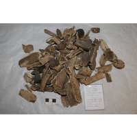 Component 1 (view 2)