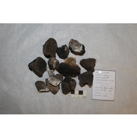 Component 1 (view 3)