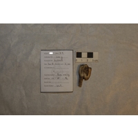 Component 1 (view 4)