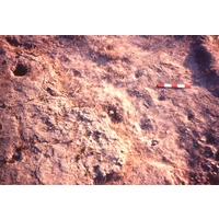 Slide of hut floor - Lower excavation (by Oliver Davies)