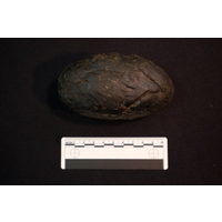 Unqiyane wax made from insects