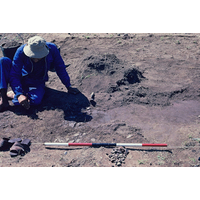 uMgungundlovu 1974/1975 Slide 1 - Image