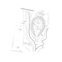 Plan of uMgungundlovu by A. E. Cubbin - image taken from a master's thesis